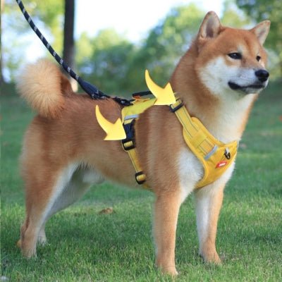 Harnais chien | DogFit™ - Soigne Ton Char