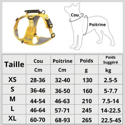 Harnais chien | DogFit™ - Soigne Ton Char