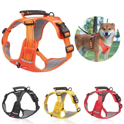 Harnais chien | DogFit™ - Soigne Ton Char