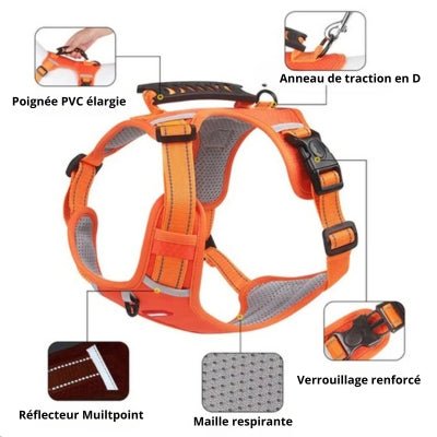 Harnais chien | DogFit™ - Soigne Ton Char