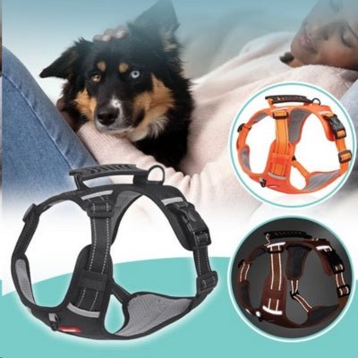 Harnais chien | DogFit™ - Soigne Ton Char