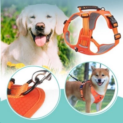 Harnais chien | DogFit™ - Soigne Ton Char