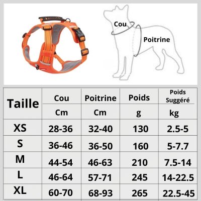 Harnais chien | DogFit™ - Soigne Ton Char