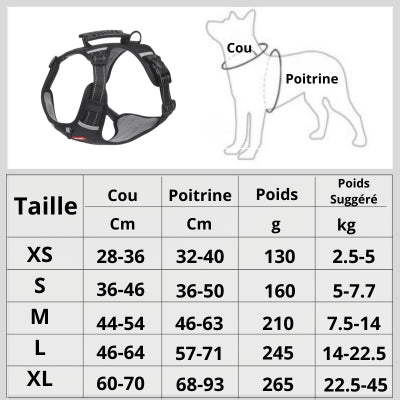 Harnais chien | DogFit™ - Soigne Ton Char