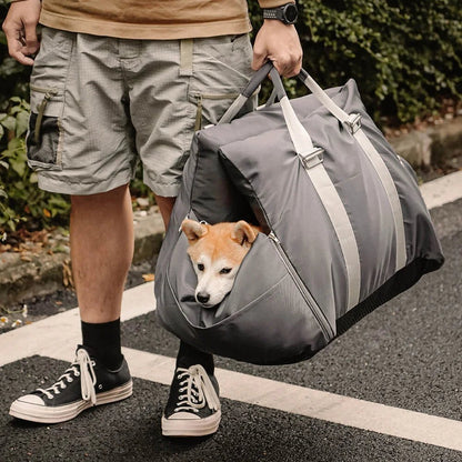 siege-auto-chien